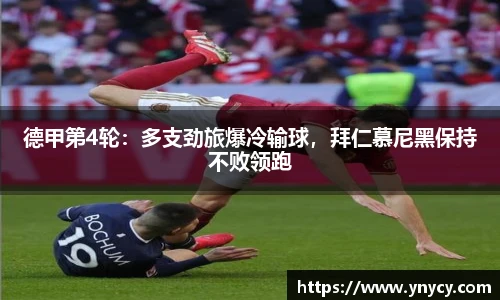 奇异果体育官方入口