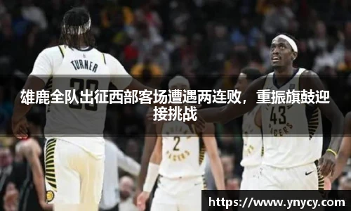 奇异果体育官方入口
