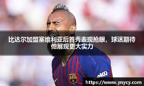 奇异果体育官方入口