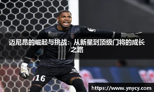 qyg奇异果体育