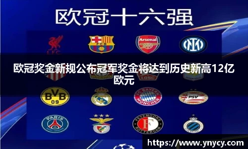 奇异果体育app下载