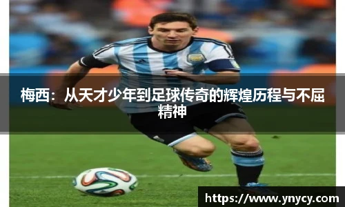 奇异果体育官方入口